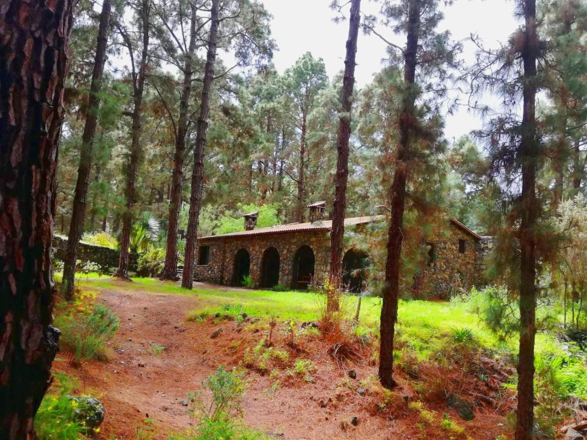 Monte frio de Tenerife La Guancha Exterior foto