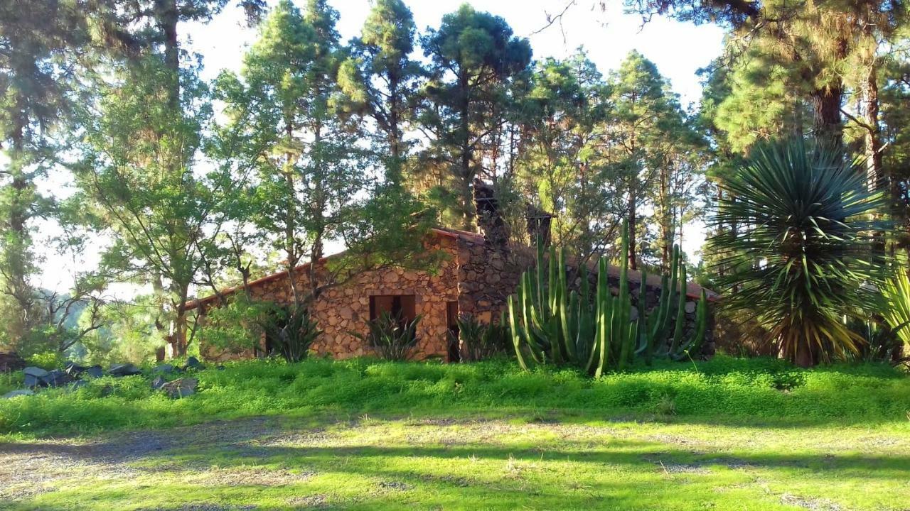 Monte frio de Tenerife La Guancha Exterior foto